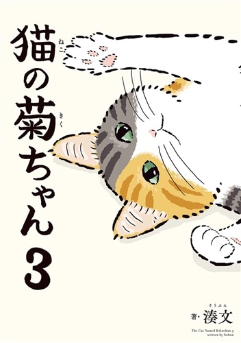 猫の菊ちゃん ３