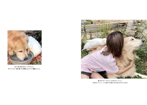 エースくんとヨバンさん 犬とアヒルの友情物語