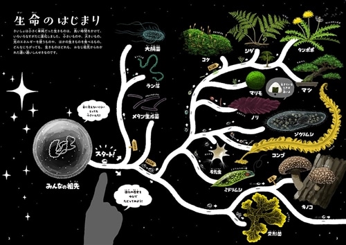 ゆびでたどる進化のえほん