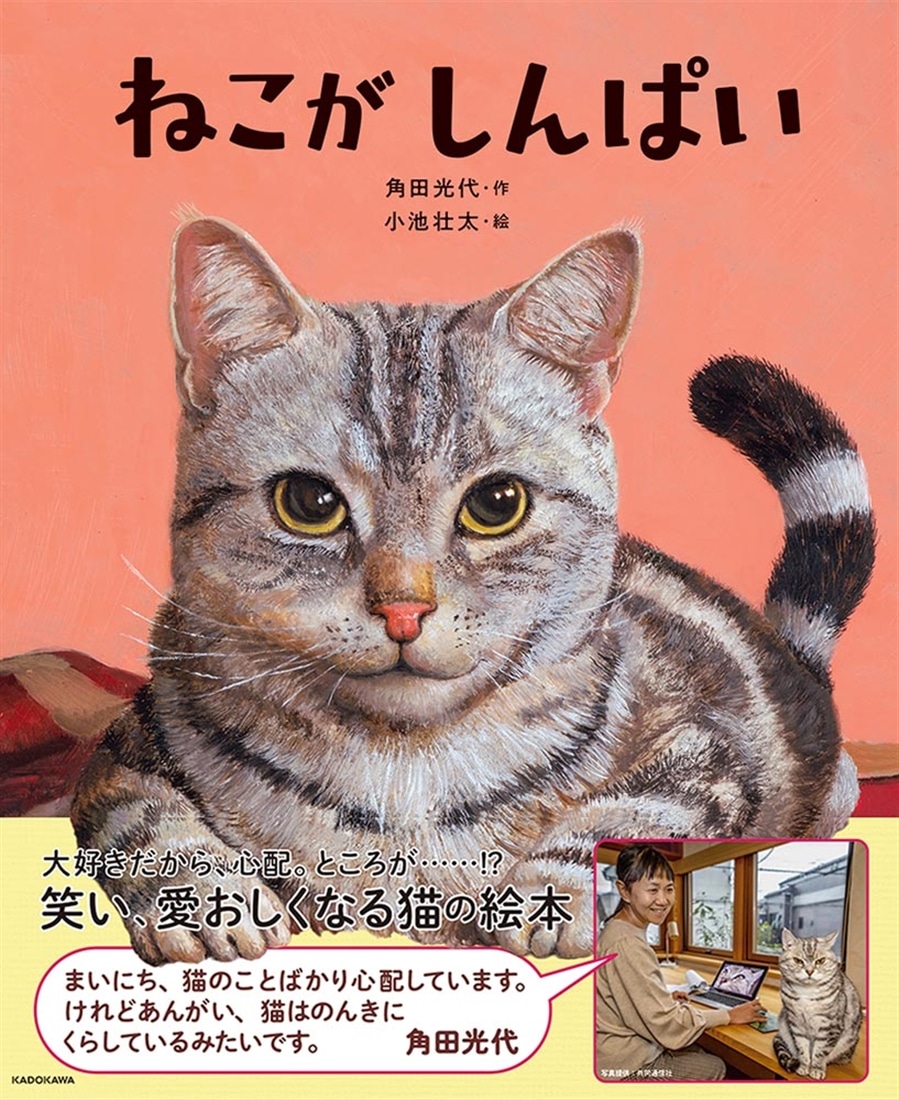 ねこがしんぱい: 本・コミック・雑誌 | カドスト | KADOKAWA公式