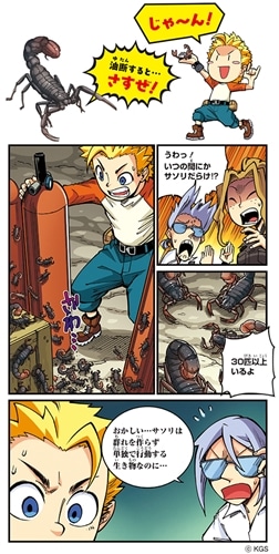 どっちが強い!?W 猛毒サソリ軍団