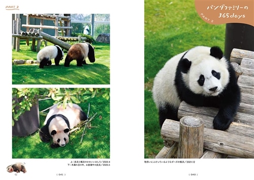 またね、尊いパンダたち。 旅に出たアドベンチャーワールドの浜家: 本