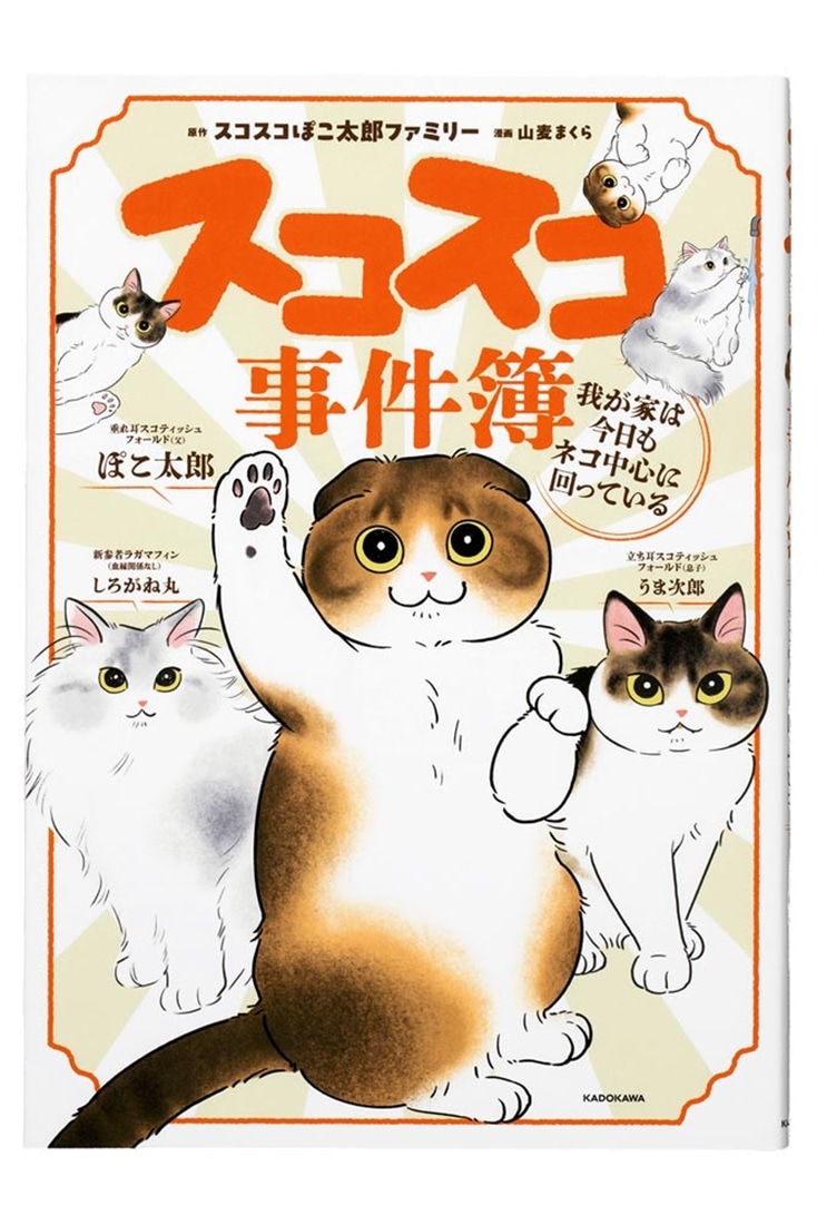 スコスコ事件簿 我が家は今日もネコ中心に回っている: 本・コミック 