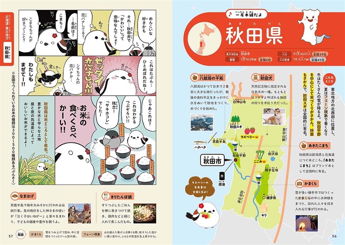 ふくふくシマちゃんとカタチで覚える47都道府県: 本・コミック・雑誌