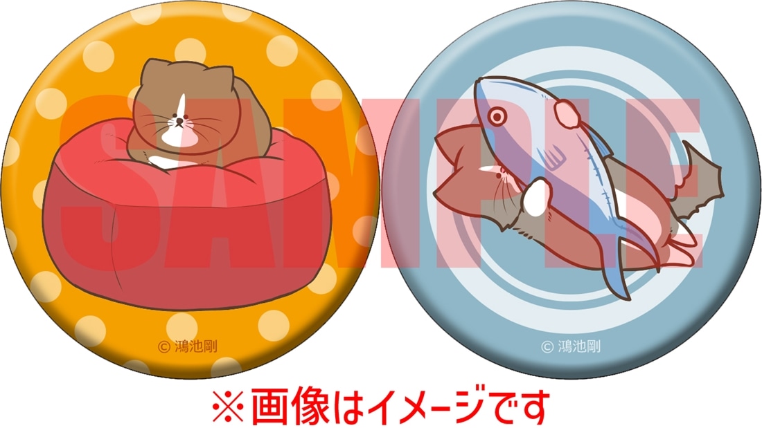 鴻池剛と猫のぽんた ニャアアアン! 4』カドスト限定グッズ付きセット