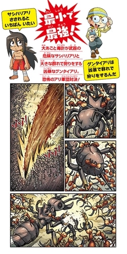 どっちが強い!?サシハリアリVS(たい)グンタイアリ凶暴アリなど18冊セット どっちが強い!? サシハリアリvsグンタイアリ 凶暴アリ軍団、大バトル