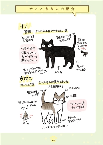 黒猫ナノとキジシロ猫きなこ