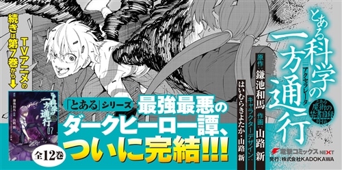 とある魔術の禁書目録外伝 とある科学の一方通行（12）: 本・コミック