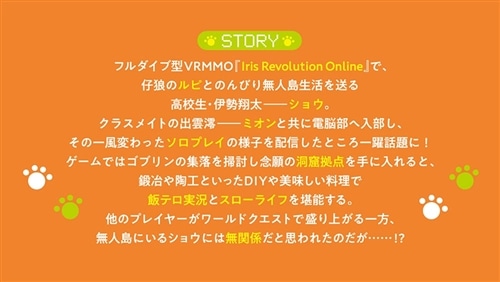 もふもふと楽しむ無人島のんびり開拓ライフ２ ～VRMMOでぼっちを満喫するはずが、全プレイヤーに注目されているみたいです～