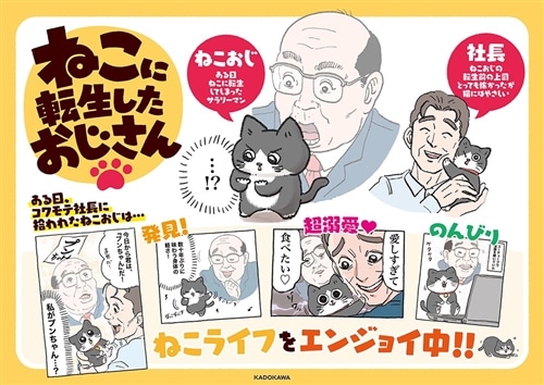 ねこに転生したおじさん　2