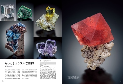 驚異の標本箱 ‐鉱物‐: 本・コミック・雑誌 | カドスト | KADOKAWA公式