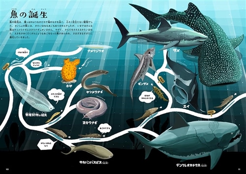 ゆびでたどる進化のえほん