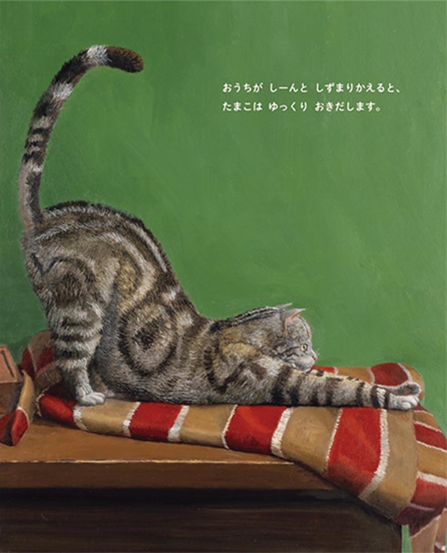 ねこがしんぱい: 本・コミック・雑誌 | カドスト | KADOKAWA公式
