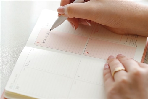 宮本佳実 my work life style 2020 diary ワークライフスタイル手帳2020【コーラルピンク】