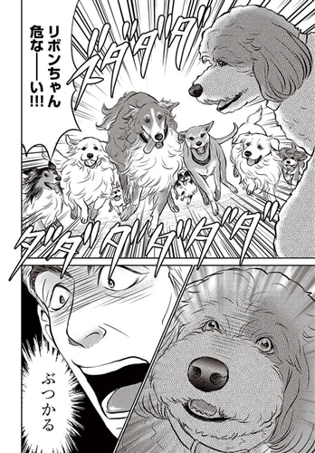 DOG SIGNAL 8: 本・コミック・雑誌 | カドスト | KADOKAWA公式