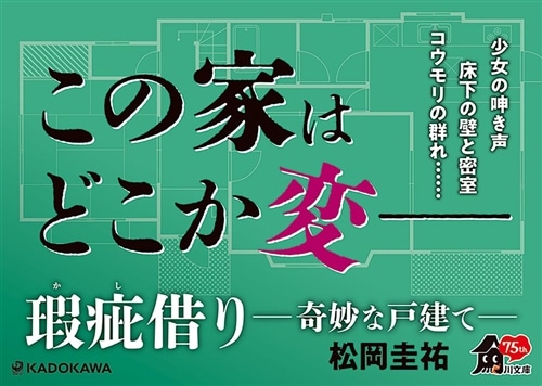 瑕疵借り　‐‐奇妙な戸建て‐‐