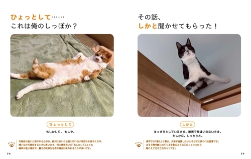 にゃるほど！ コミュ力UP語彙辞典