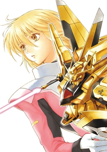 新装版 機動戦士ガンダムSEED DESTINY THE EDGE Desire 1: 本