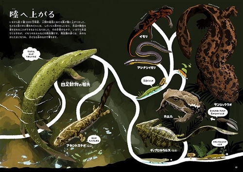 ゆびでたどる進化のえほん