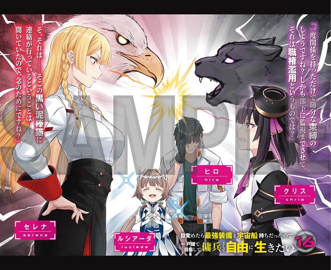 目覚めたら最強装備と宇宙船持ちだったので、一戸建て目指して傭兵