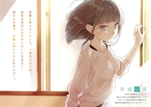 青春ブタ野郎はナイチンゲールの夢を見ない