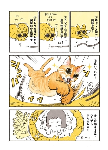 茶トラのやっちゃん: 本・コミック・雑誌 | カドスト | KADOKAWA公式