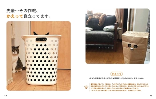 にゃるほど！ コミュ力UP語彙辞典