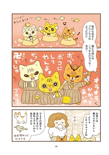 しまねこ3姉妹と暮らしています　深まるきずな編