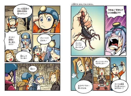 どっちが強い!?W 猛毒サソリ軍団