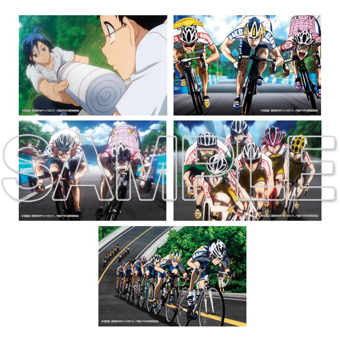 TVアニメ「弱虫ペダル」10周年フェスティバル ポストカードセット 弱虫ペダル