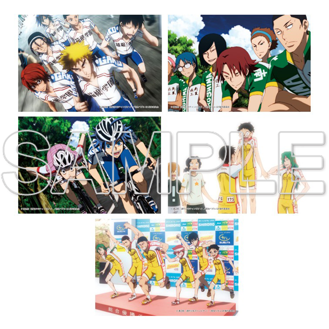 TVアニメ「弱虫ペダル」10周年フェスティバル ポストカードセット 弱虫ペダルGRANDE ROAD