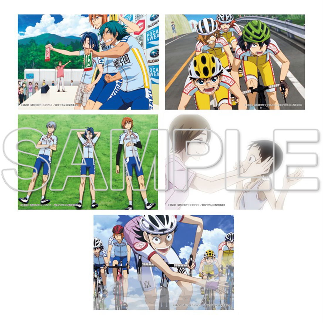 TVアニメ「弱虫ペダル」10周年フェスティバル ポストカードセット 弱虫ペダル GLORY LINE