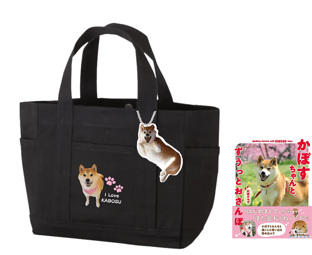 【数量限定】ぬいぐるみキーホルダー＆ポストカード付き「かぼすちゃんと、ずうっとおさんぽ。」バッグ（ブラック）＆写真集