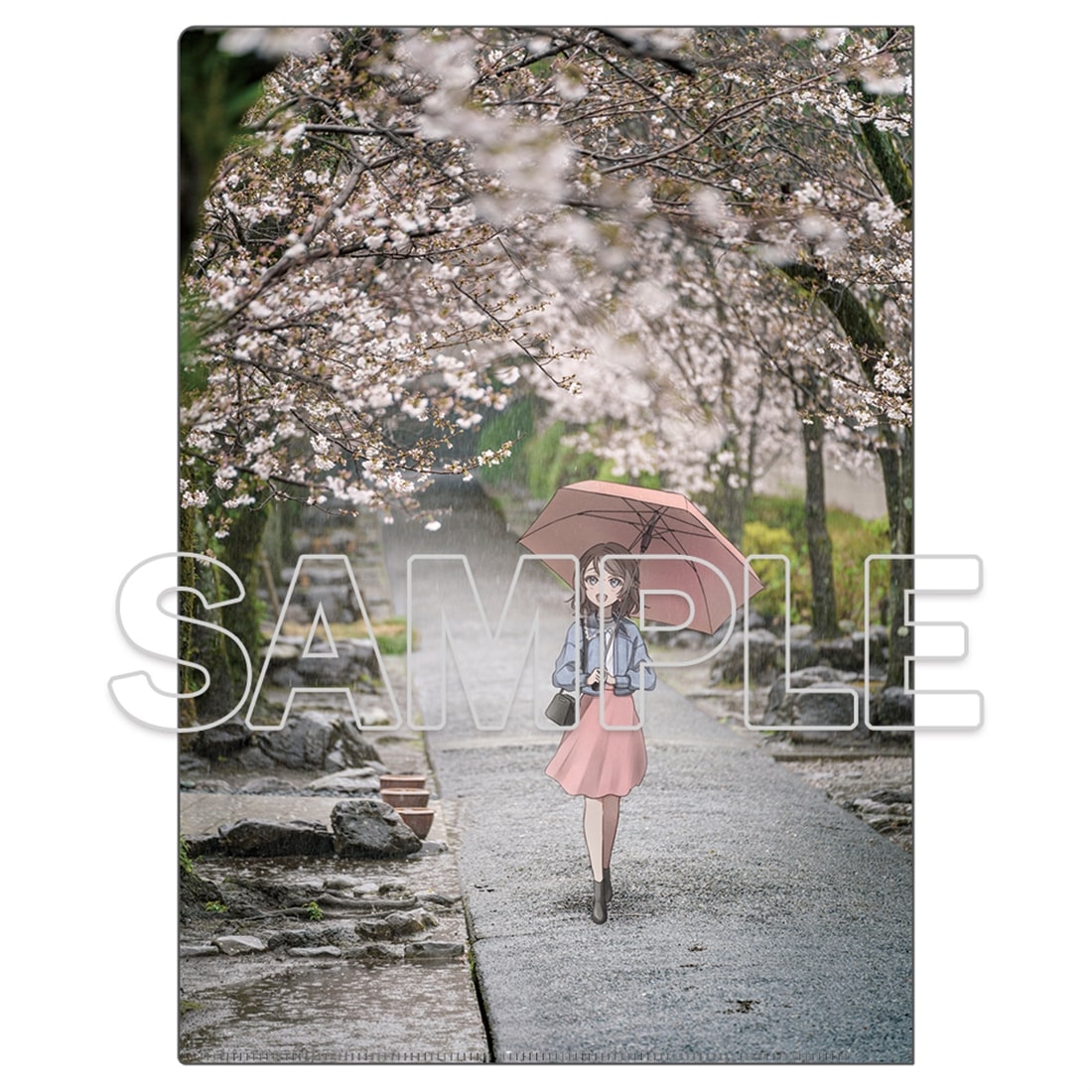 LoveLive! Days 2026年5月号 『ラブライブ！サンシャイン!!』クリアファイル Aqours　曜[5]