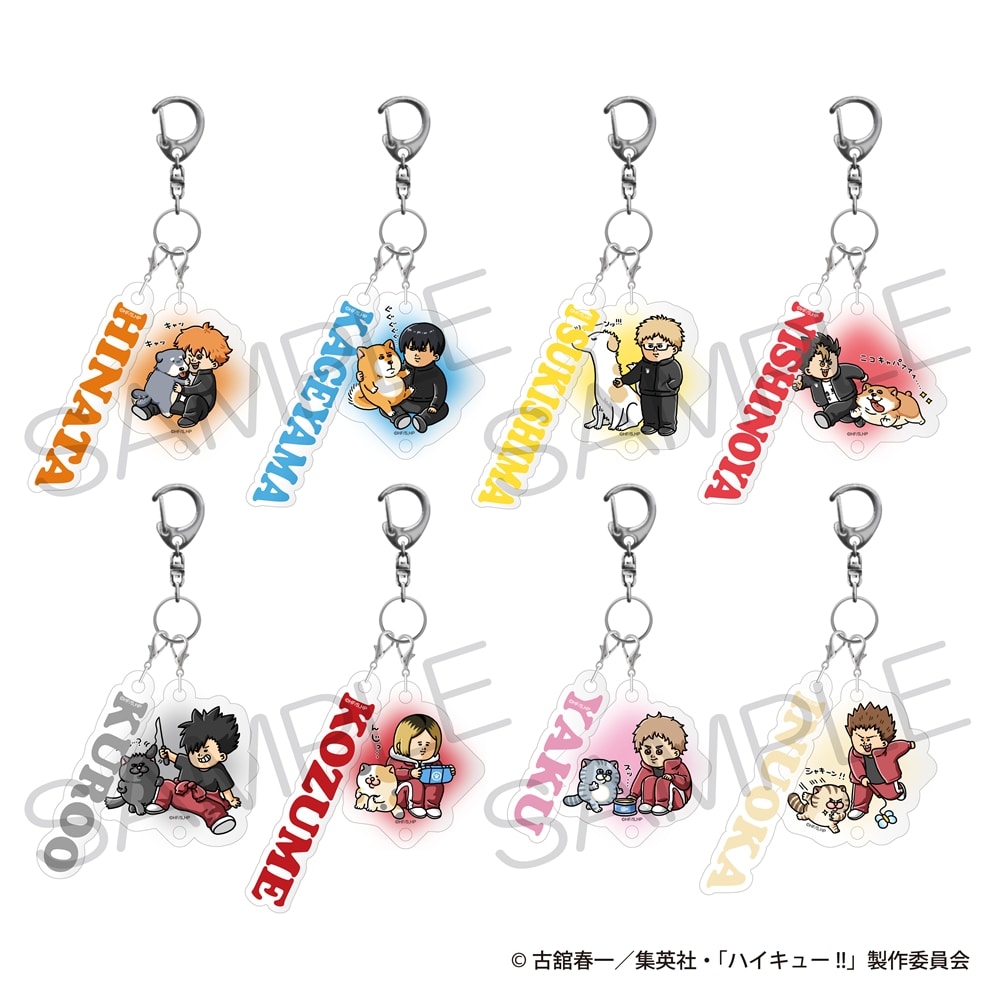 ハイキュー!! ネームキーホルダーコレクション 迷子札ver. Pack Pack