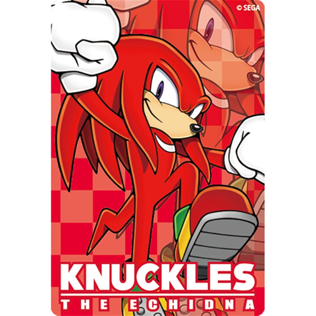 SONIC THE HEDGEHOG クリア栞 ナックルズ・ザ・エキドゥナ ナックルズ・ザ・エキドゥナ