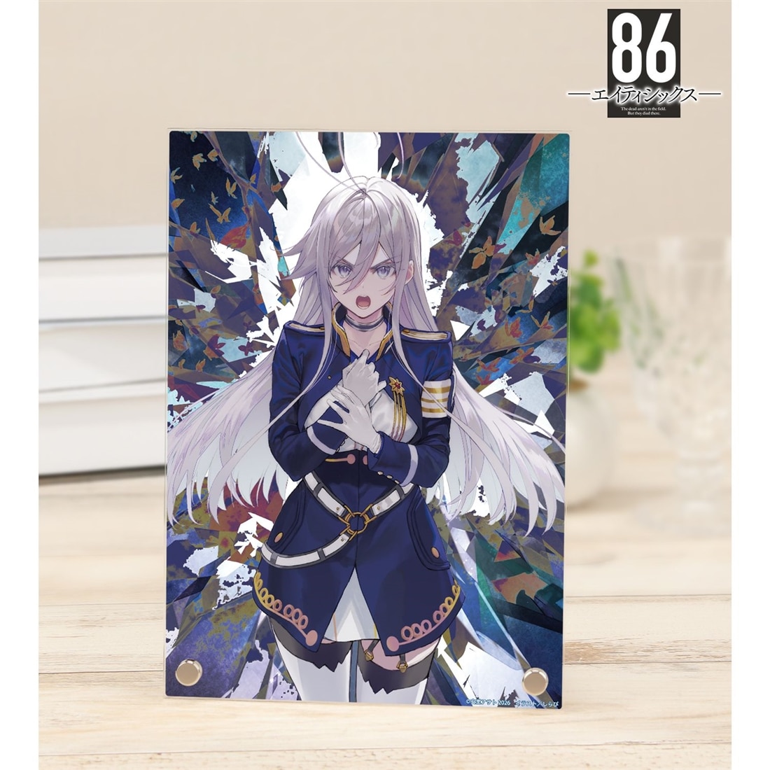 86―エイティシックス― 14巻カバーイラスト A5アクリルパネル