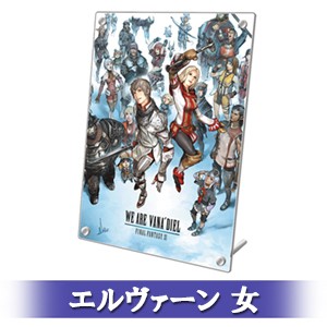 FINAL FANTASY XI 20th ANNIVERSARY PLATE 冒険者の足跡Ver.A エルヴァーン 女 顔タイプ 4-b Ver.A エルヴァーン 女 4-b