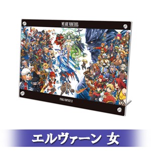 FINAL FANTASY XI 20th ANNIVERSARY PLATE 冒険者の足跡Ver.B エルヴァーン 女 顔タイプ 1-b Ver.B エルヴァーン 女 1-b
