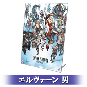FINAL FANTASY XI 20th ANNIVERSARY PLATE 冒険者の足跡Ver.A エルヴァーン 男 顔タイプ 4-b Ver.A エルヴァーン 男 4-b