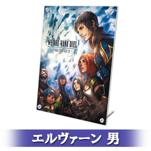 FINAL FANTASY XI 20th ANNIVERSARY PLATE 冒険者の足跡Ver.C エルヴァーン 男 顔タイプ 4-b Ver.C エルヴァーン 男 4-b