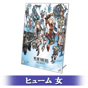 FINAL FANTASY XI 20th ANNIVERSARY PLATE 冒険者の足跡Ver.A ヒューム 女 顔タイプ 5-a Ver.A ヒューム 女 5-a