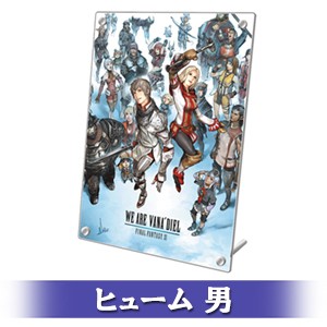 FINAL FANTASY XI 20th ANNIVERSARY PLATE 冒険者の足跡Ver.A ヒューム 男 顔タイプ 2-a Ver.A ヒューム 男 2-a