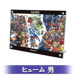FINAL FANTASY XI 20th ANNIVERSARY PLATE 冒険者の足跡Ver.B ヒューム 男 顔タイプ 1-b Ver.B ヒューム 男 1-b