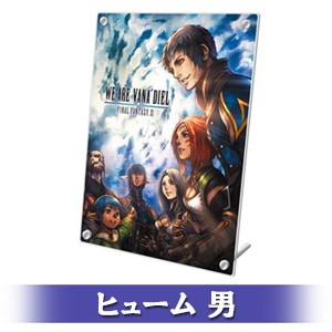 FINAL FANTASY XI 20th ANNIVERSARY PLATE 冒険者の足跡Ver.C ヒューム 男 顔タイプ 5-b Ver.C ヒューム 男 5-b