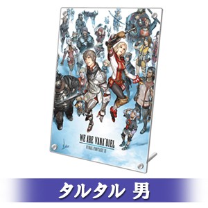 FINAL FANTASY XI 20th ANNIVERSARY PLATE 冒険者の足跡Ver.A タルタル 男 顔タイプ 3-a Ver.A タルタル 男 3-a