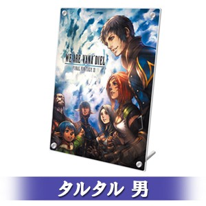 FINAL FANTASY XI 20th ANNIVERSARY PLATE 冒険者の足跡Ver.C タルタル 男 顔タイプ 4-a Ver.C タルタル 男 4-a