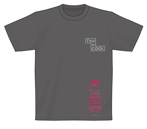 「セガ ハード コレクション」Tシャツ 2013カラー【セガストア2013年末大感謝祭】XLサイズ XLサイズ