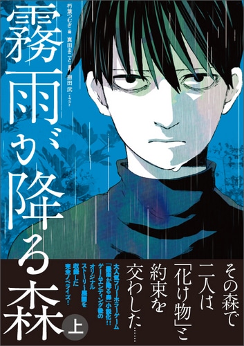 霧雨が降る森 上ebtenDXパック DXパック