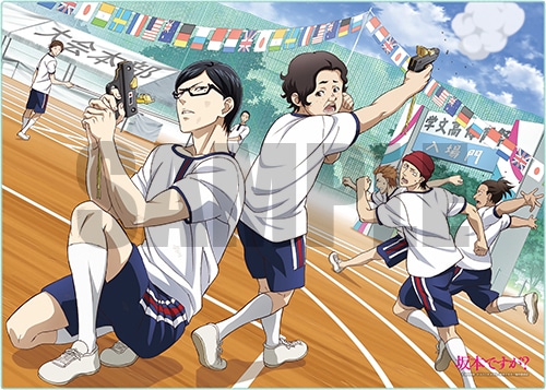 坂本ですが？ クーレストビッグタオルB B